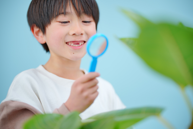 歯の生え変わりが遅い気がする…子どものお口で起こりやすい原因とは